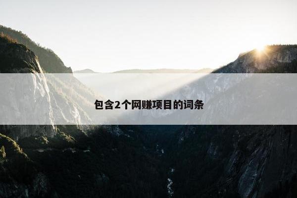 包含2个网赚项目的词条