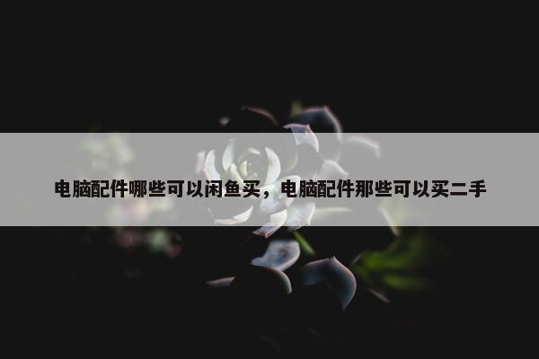 电脑配件哪些可以闲鱼买，电脑配件那些可以买二手