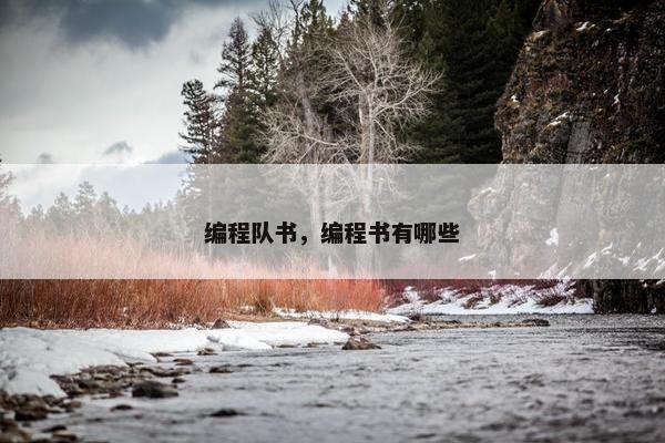 编程队书，编程书有哪些