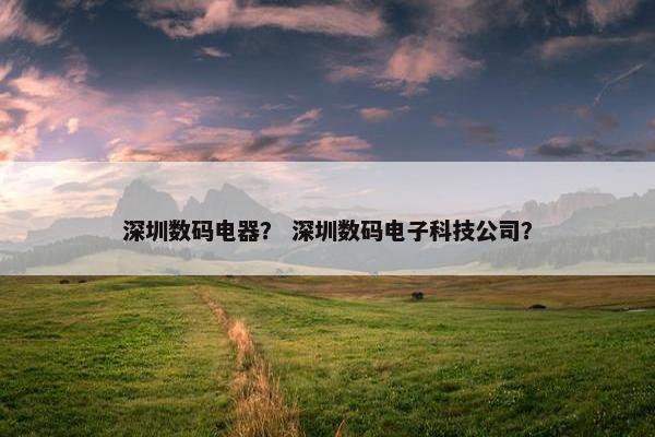 深圳数码电器？ 深圳数码电子科技公司？