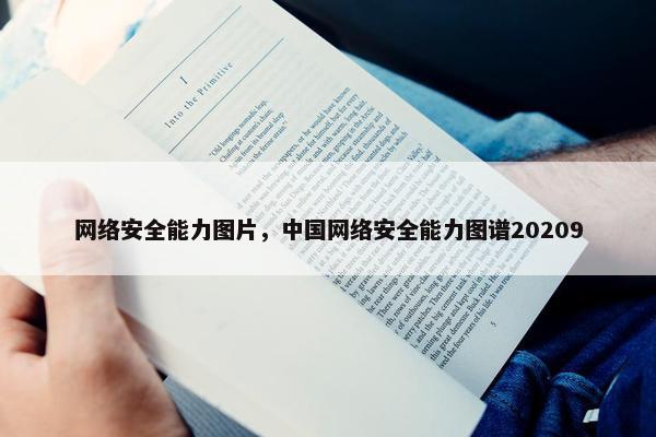 网络安全能力图片，中国网络安全能力图谱20209