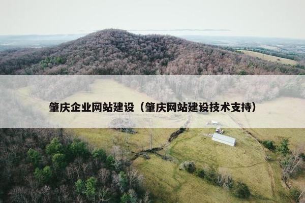 肇庆企业网站建设（肇庆网站建设技术支持）