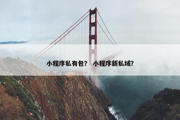 小程序私有包？ 小程序新私域？