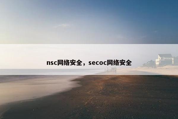 nsc网络安全，secoc网络安全