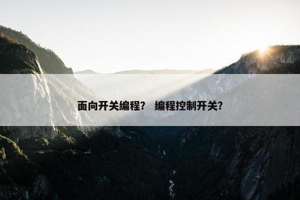面向开关编程？ 编程控制开关？