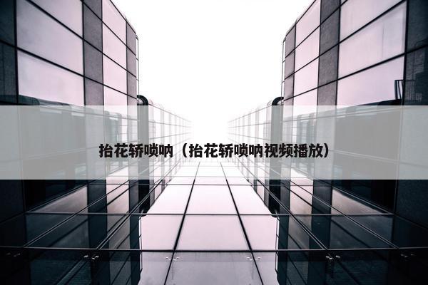抬花轿唢呐（抬花轿唢呐视频播放）