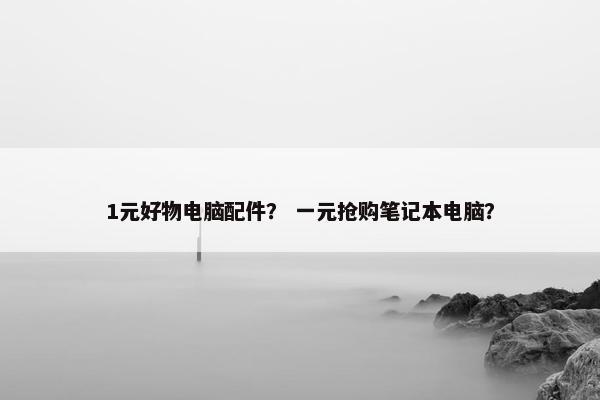 1元好物电脑配件？ 一元抢购笔记本电脑？