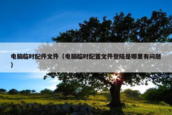 电脑临时配件文件（电脑临时配置文件登陆是哪里有问题）