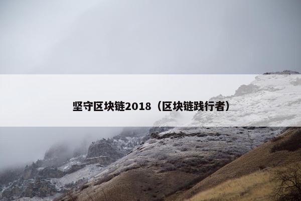 坚守区块链2018（区块链践行者）