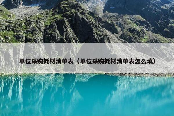 单位采购耗材清单表（单位采购耗材清单表怎么填）
