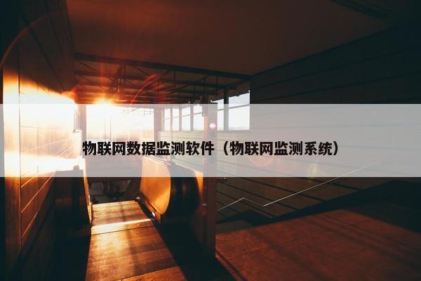 物联网数据监测软件（物联网监测系统）