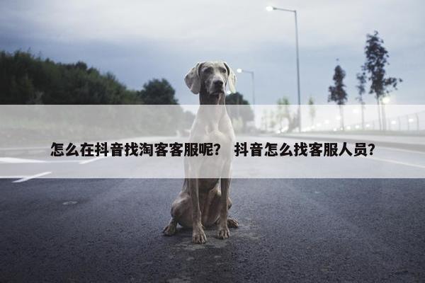 怎么在抖音找淘客客服呢？ 抖音怎么找客服人员？