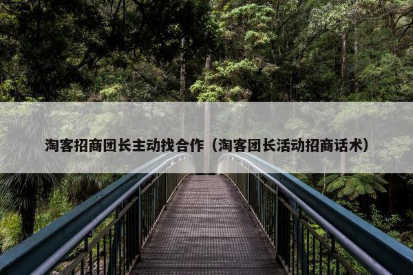 淘客招商团长主动找合作（淘客团长活动招商话术）