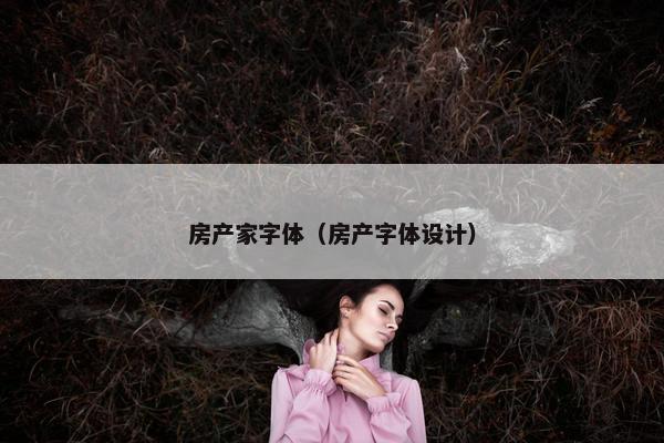房产家字体（房产字体设计）