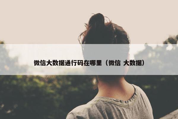 微信大数据通行码在哪里（微信 大数据）
