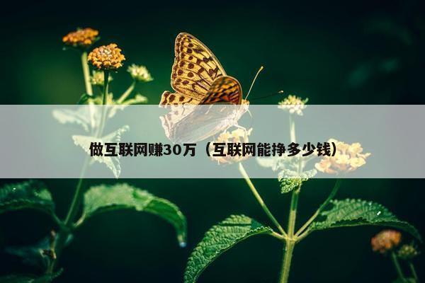 做互联网赚30万（互联网能挣多少钱）