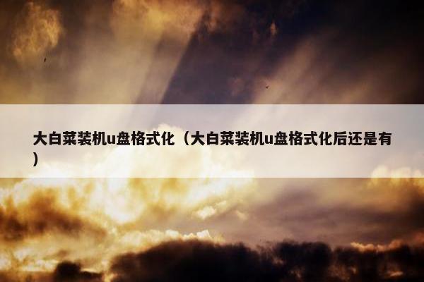 大白菜装机u盘格式化（大白菜装机u盘格式化后还是有）