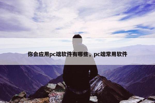 你会应用pc端软件有哪些，pc端常用软件