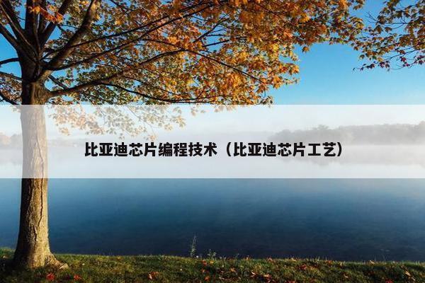 比亚迪芯片编程技术（比亚迪芯片工艺）