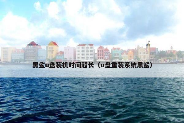 黑鲨u盘装机时间超长（u盘重装系统黑鲨）