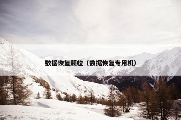 数据恢复颗粒（数据恢复专用机）