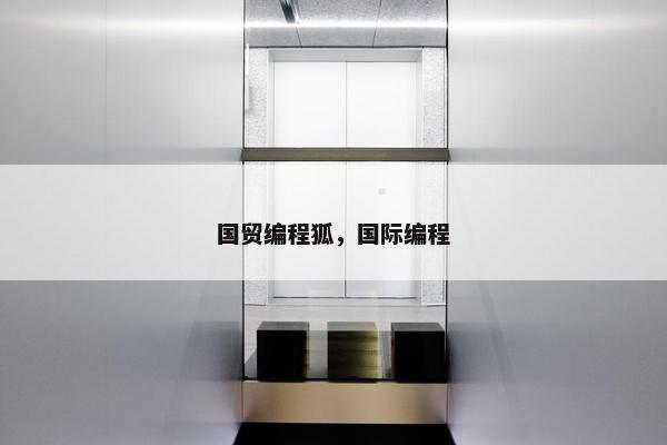 国贸编程狐，国际编程