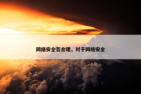 网络安全否合理，对于网络安全