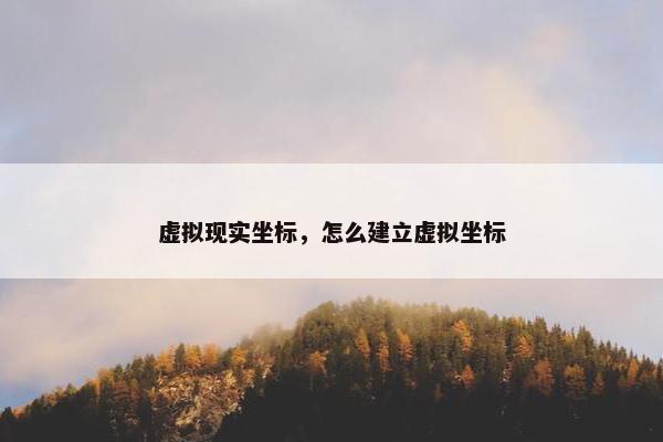 虚拟现实坐标，怎么建立虚拟坐标