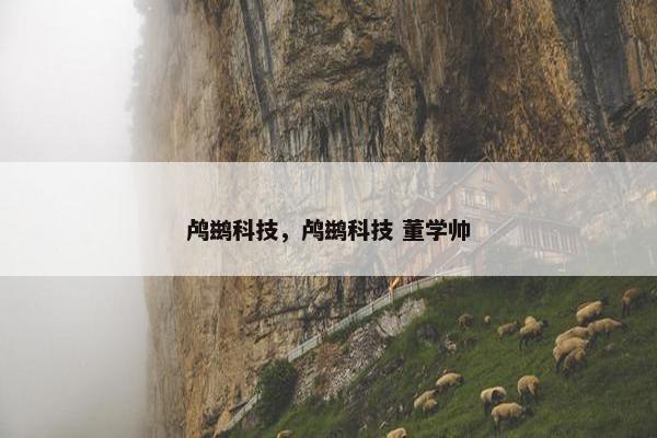 鸬鹚科技，鸬鹚科技 董学帅