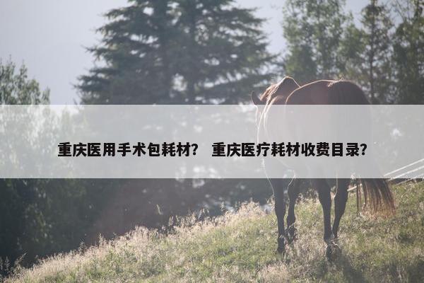 重庆医用手术包耗材？ 重庆医疗耗材收费目录？