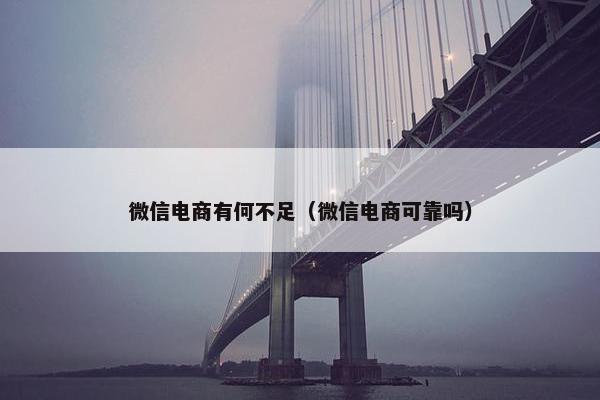 微信电商有何不足（微信电商可靠吗）