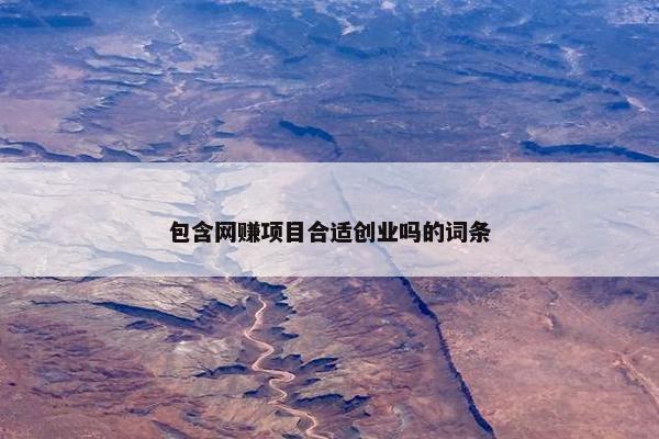 包含网赚项目合适创业吗的词条