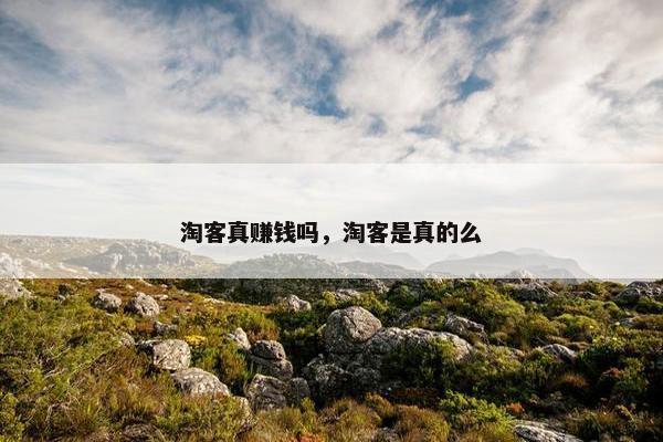 淘客真赚钱吗，淘客是真的么