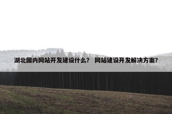 湖北国内网站开发建设什么？ 网站建设开发解决方案？