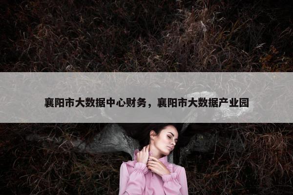 襄阳市大数据中心财务，襄阳市大数据产业园