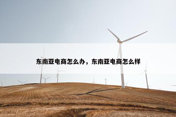 东南亚电商怎么办，东南亚电商怎么样