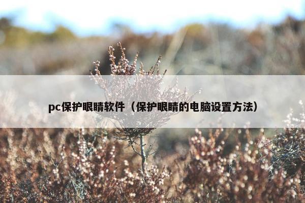 pc保护眼睛软件（保护眼睛的电脑设置方法）