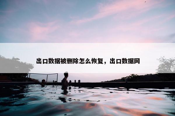 出口数据被删除怎么恢复，出口数据网