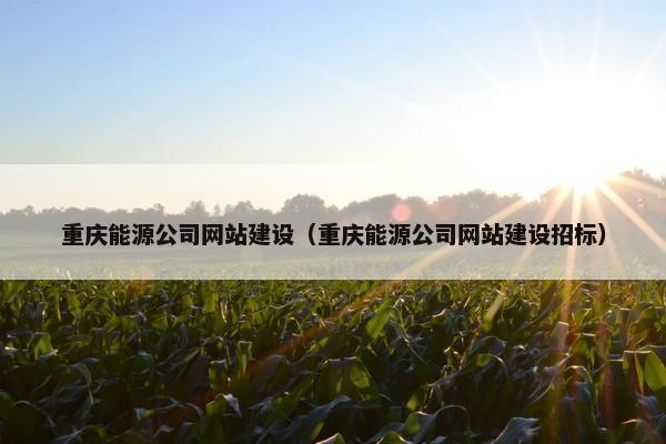 重庆能源公司网站建设（重庆能源公司网站建设招标）