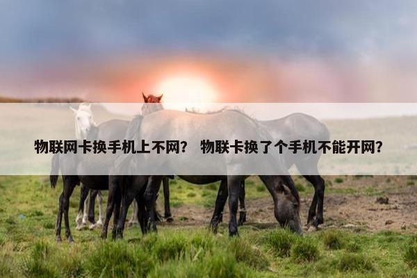 物联网卡换手机上不网？ 物联卡换了个手机不能开网？