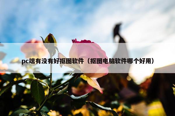 pc端有没有好抠图软件（抠图电脑软件哪个好用）