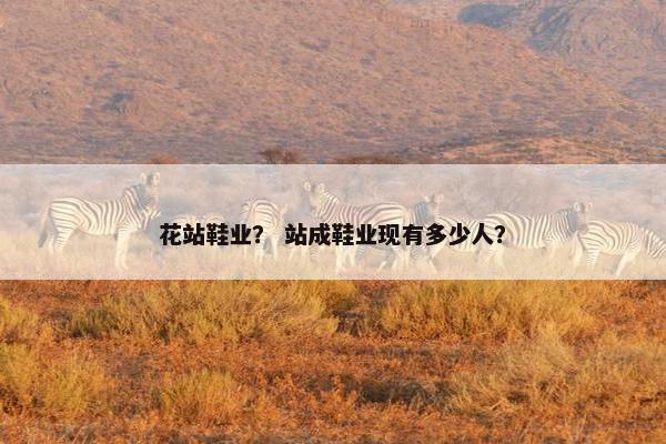 花站鞋业？ 站成鞋业现有多少人？