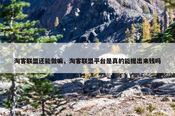 淘客联盟还能做嘛，淘客联盟平台是真的能提出来钱吗
