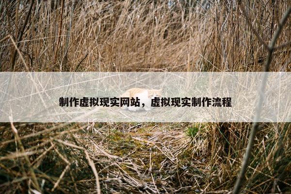 制作虚拟现实网站，虚拟现实制作流程