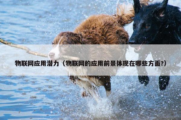 物联网应用潜力（物联网的应用前景体现在哪些方面?）