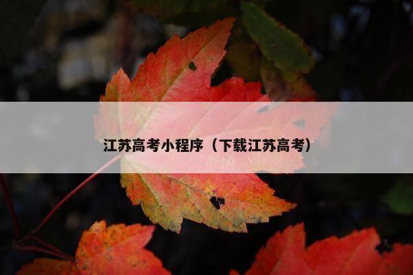 江苏高考小程序（下载江苏高考）
