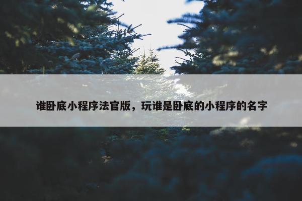 谁卧底小程序法官版，玩谁是卧底的小程序的名字