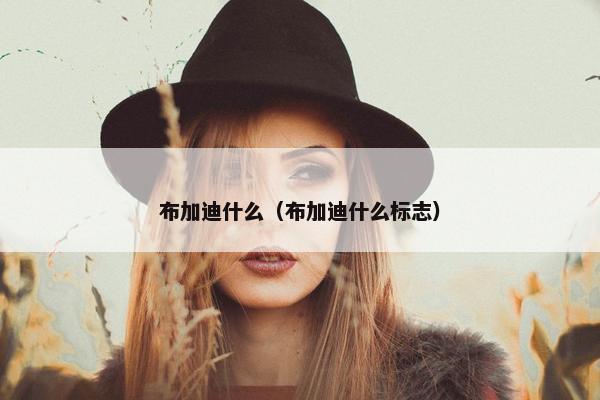 布加迪什么（布加迪什么标志）