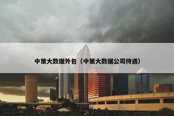 中策大数据外包（中策大数据公司待遇）