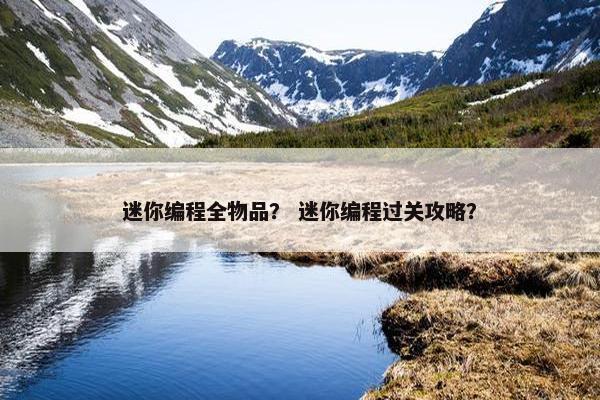迷你编程全物品？ 迷你编程过关攻略？